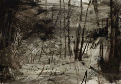 Academie Arendonk Deeltijds Kunstonderwijs DKO Beeldende en Audiovisuele Kunsten tentoonstelling leerkrachten Chris Van der Veken Forest