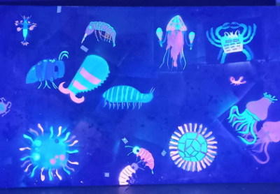 Academie Arendonk Deeltijds Kunstonderwijs DKO Beeldende en Audiovisuele Kunsten BAK nieuws ArenDONKER licht op