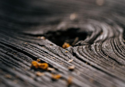 Academie Arendonk Deeltijds Kunstonderwijs DKO Beeldende en Audiovisuele Kunsten BAK nieuws nieuwsbrief 20240131