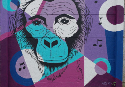 Academie Arendonk Deeltijds Kunstonderwijs DKO Beeldende en Audiovisuele Kunsten BAK nieuws nieuwsbrief 20250128