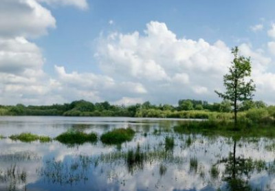 Academie Arendonk Deeltijds Kunstonderwijs DKO Beeldende en Audiovisuele Kunsten BAK nieuws nieuwsbrief 4 november 2025