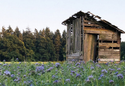 Academie Arendonk Deeltijds Kunstonderwijs DKO Beeldende en Audiovisuele Kunsten BAK nieuws project Kunst in t Veld fietsroute 2018