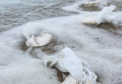 Academie Arendonk Deeltijds Kunstonderwijs DKO Beeldende en Audiovisuele Kunsten BAK nieuws tentoonstelling leraars Pascale Hellebaut