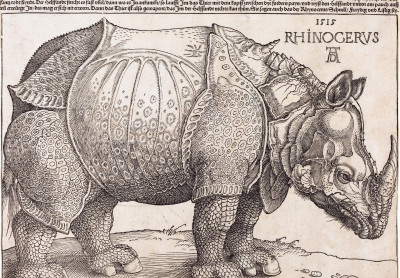 Academie Arendonk Deeltijds Kunstonderwijs DKO Beeldende en Audiovisuele Kunsten BAK vak Kunst en Cultuur Anne Kegels themales Realisme