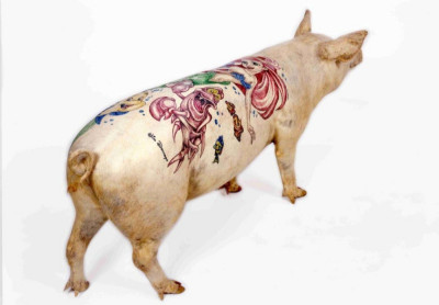 Academie Arendonk Deeltijds Kunstonderwijs DKO Beeldende en Audiovisuele Kunsten BAK vak Kunst en Cultuur Anne Kegels themales Wim Delvoye