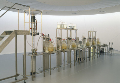 Academie Arendonk Deeltijds Kunstonderwijs DKO Beeldende en Audiovisuele Kunst Nieuws_Themalessen