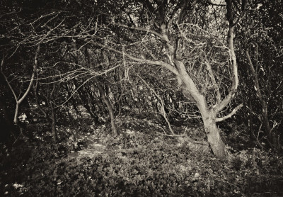 Academie Arendonk Deeltijds Kunstonderwijs DKO Beeldende en Audiovisuele Kunst Nieuws Lezingen