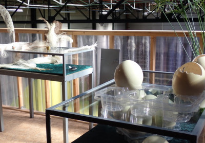 Academie Arendonk Deeltijds Kunstonderwijs DKO Beeldende en Audiovisuele Kunsten BAK nieuws tentoonstelling leraars Tom Vansantrs