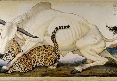 Academie Arendonk DKO Nieuws Themalessen 