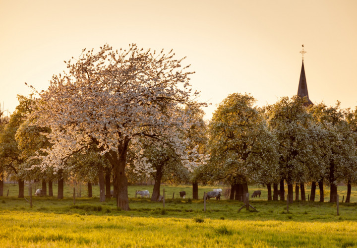 Academie Arendonk Deeltijds Kunstonderwijs DKO Beeldende en Audiovisuele Kunsten info CO2 uitstoot omzetten in een gift