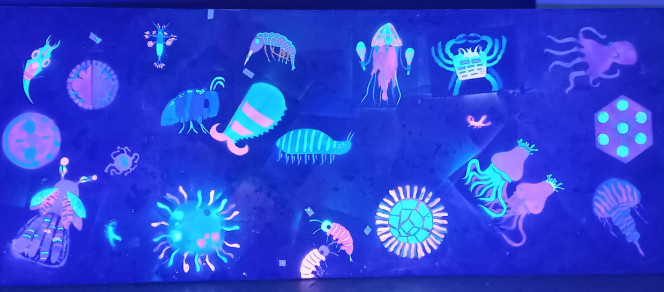 Aren(DONKER) licht op