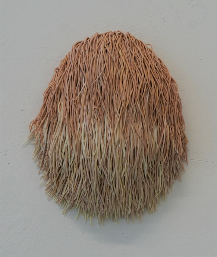 Academie Arendonk Deeltijds Kunstonderwijs DKO Beeldende en Audiovisuele Kunsten BAK nieuws lezingen Joke Raes