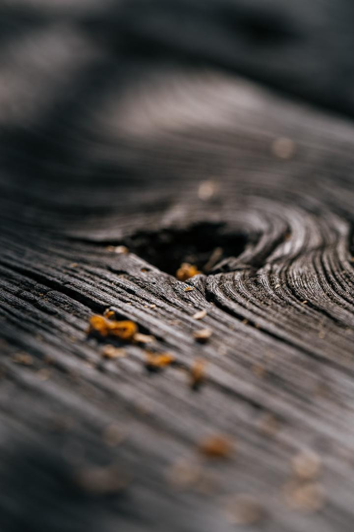 Nieuwsbrief 31 januari 2024