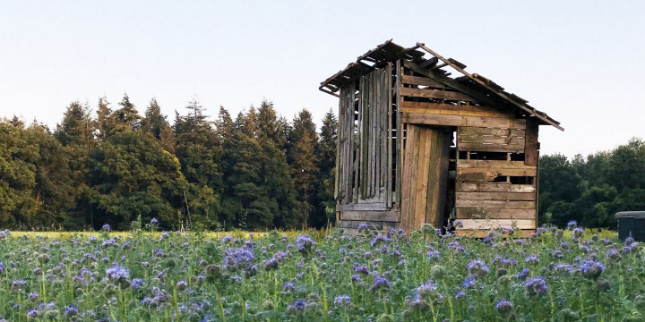 Fietsroute 'Kunst in 't Veld' 2018