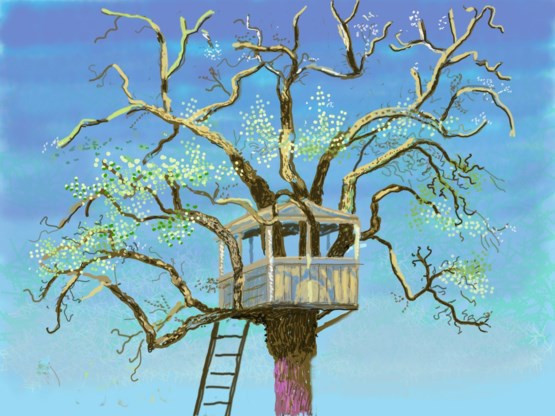 'Hockney': 9-13/11 2021