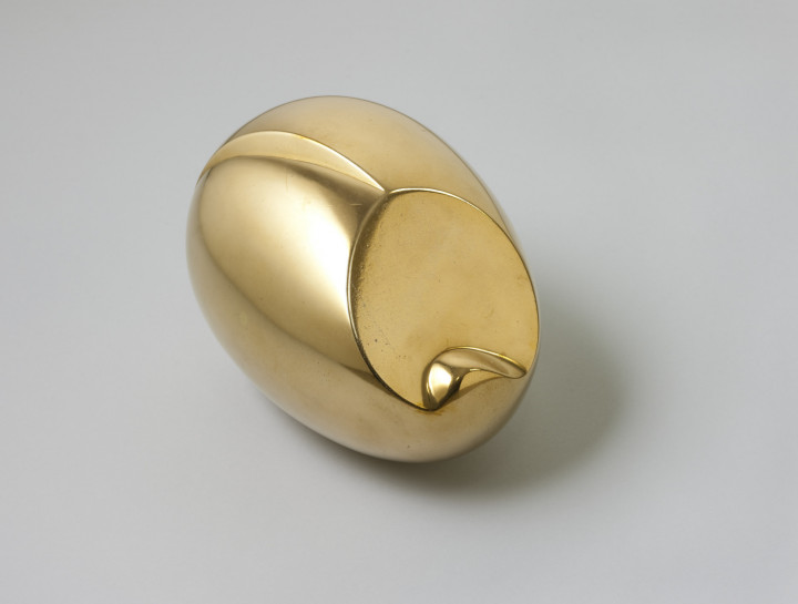 Academie Arendonk Deeltijds Kunstonderwijs DKO Beeldende en Audiovisuele Kunsten BAK vak Kunst en Cultuur themales Brancusi