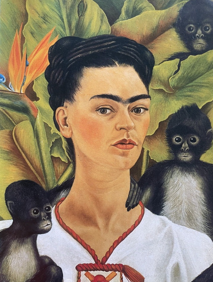 'Portret' 16-20/12/2025