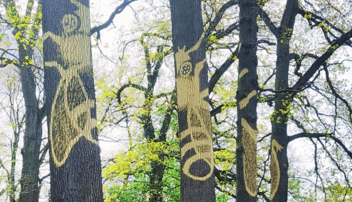 Academie Arendonk Deeltijds Kunstonderwijs DKO Beeldende en Audiovisuele Kunsten BAK expo leerkrachten Annelies Nagels