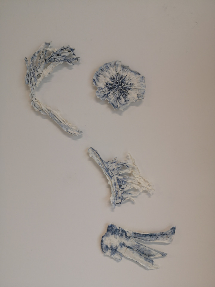 Academie Arendonk opleiding volwassenen Deeltijds Kunstonderwijs DKO Beeldende en Audiovisuele Kunsten BAK langlopende studierichting 4de graad optie Keramiek