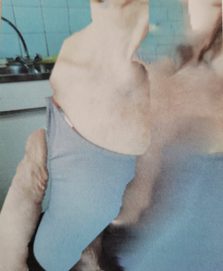 Academie Arendonk opleiding volwassenen Deeltijds Kunstonderwijs DKO Beeldende en Audiovisuele Kunsten BAK langlopende studierichting 4de graad optie Projectatelier tekenen