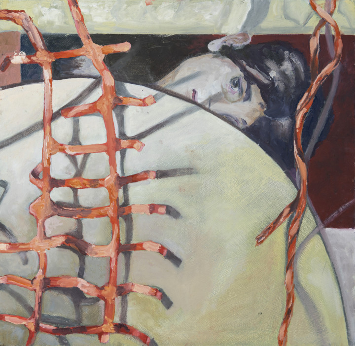 Academie Arendonk opleiding volwassenen Deeltijds Kunstonderwijs DKO Beeldende en Audiovisuele Kunsten BAK langlopende studierichting 4de graad optie Schilderkunst