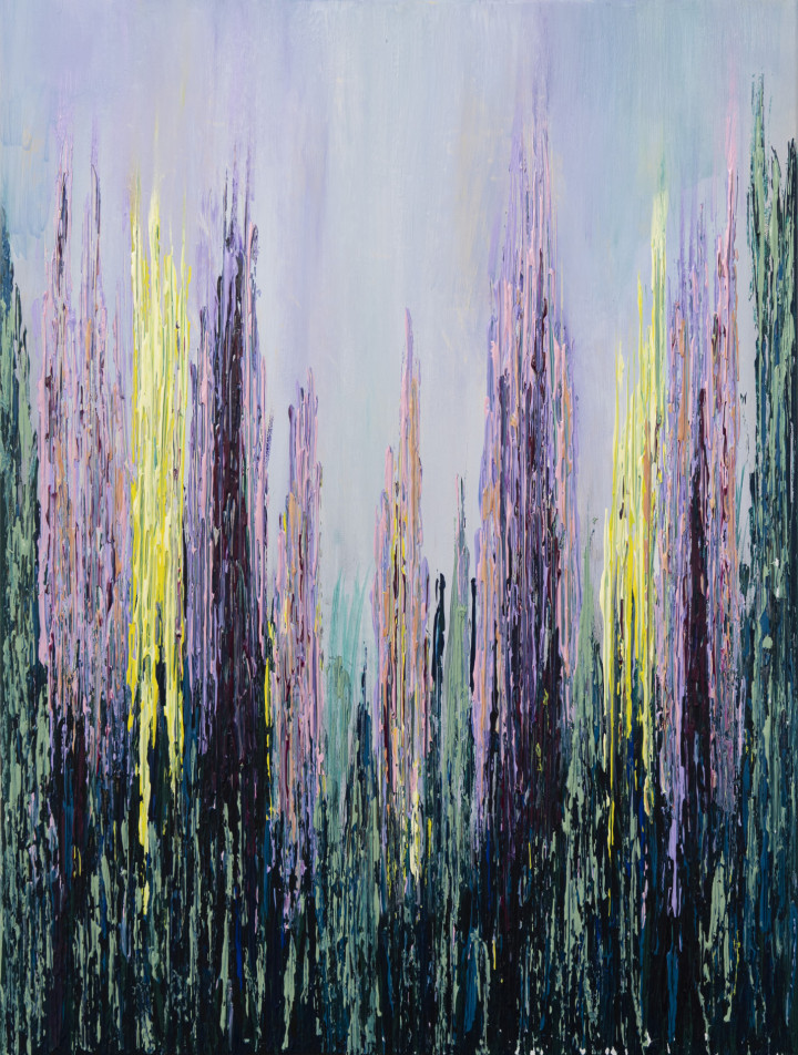 Academie Arendonk opleiding volwassenen Deeltijds Kunstonderwijs DKO Beeldende en Audiovisuele Kunsten BAK langlopende studierichting 4de graad optie Schilderkunst