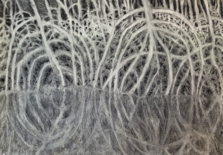 Academie Arendonk opleiding volwassenen Deeltijds Kunstonderwijs DKO Beeldende en Audiovisuele Kunsten BAK langlopende studierichting 4de graad optie Tekenkunst